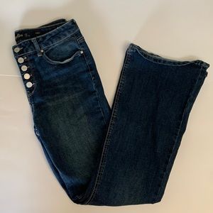 Indigo Rein Flare Jeans